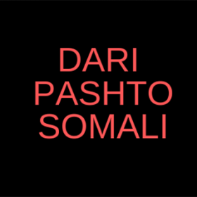 Billede af Dari-, pashto-, somali-titler